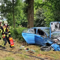bild901.jpg