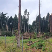 wum_perlsee1.jpg