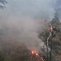 waldbrand_altenschneeberg1.jpg