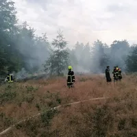 waldbrand_altenschneeberg3.jpg