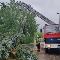 wum_olbergweg.jpg