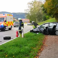 bild1.jpg