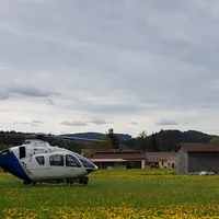 20180501_101219.jpg